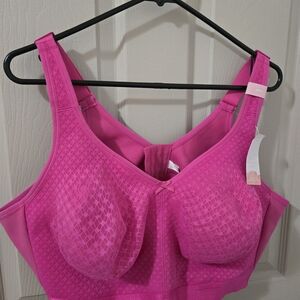 Cacique Vibrant Pink Bra